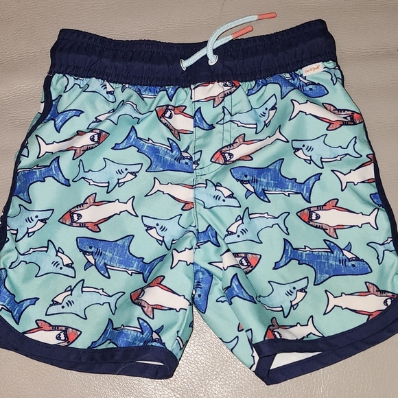 Shark Tank and Swim Shorts - Picture 2 of 3